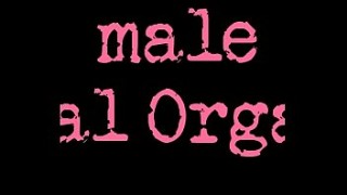 Male sexbff Anal Orgasm